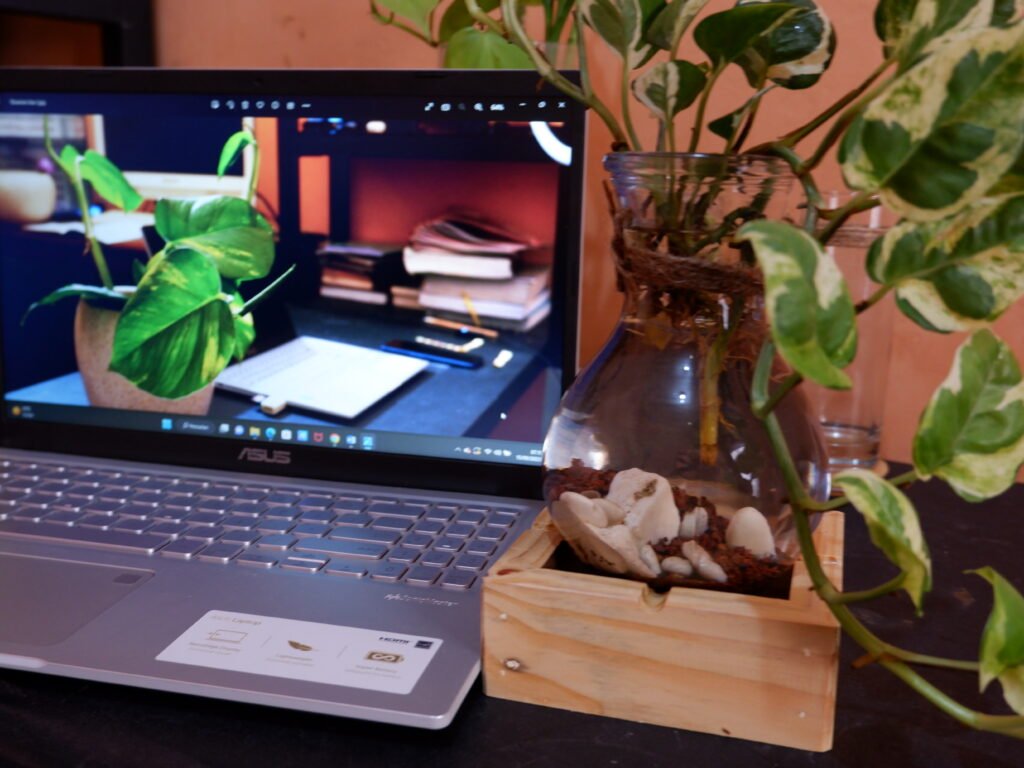 Bisnis Tanaman Hias Menjelang Garut Utara Jadi Kota Industri, Manfaatkan Program Google Lens