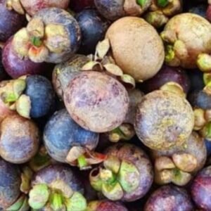 Manggis Burik Asal Purwakarta Ini Rasanya Sama Manis, Enak dan Sehat