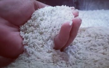 Harga Beras Melonjak, Disperindag KBB Surati Bulog Lakukan Operasi Pasar