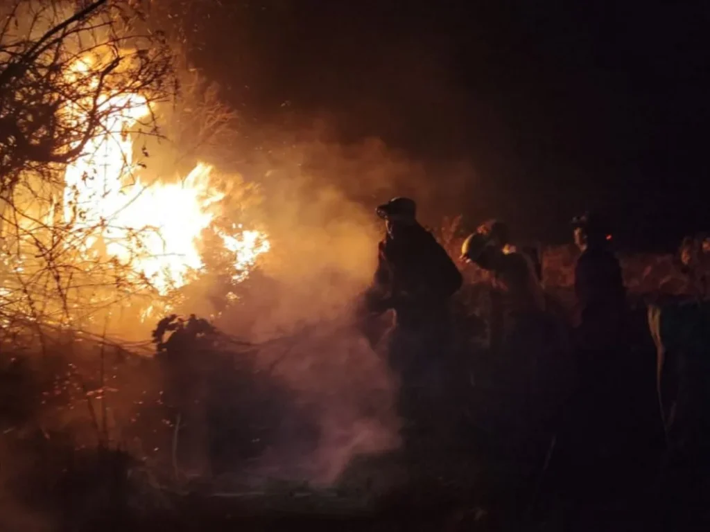 Kebakaran Landa Kawasan Hutan Papandayan di Garut, Puluhan Petugas Dikerahkan