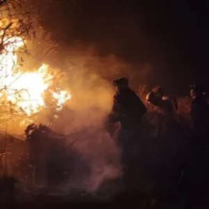 Kebakaran Landa Kawasan Hutan Papandayan di Garut, Puluhan Petugas Dikerahkan