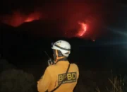 Karhutla di Gunung Papandayan, BPBD Garut: Jauh Dari Pemukiman Warga
