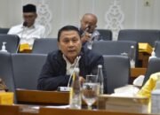 Fraksi PKS Tolak Revisi UU Pilkada, Mardani: Tidak Efisien dan Berpotensi Rusak Demokrasi