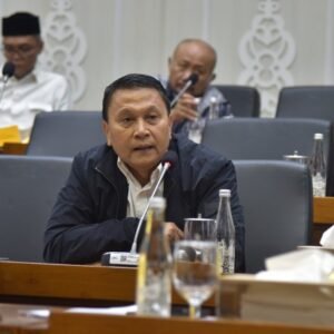 Fraksi PKS Tolak Revisi UU Pilkada, Mardani: Tidak Efisien dan Berpotensi Rusak Demokrasi