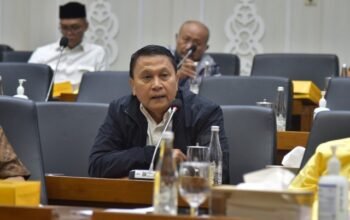 Fraksi PKS Tolak Revisi UU Pilkada, Mardani: Tidak Efisien dan Berpotensi Rusak Demokrasi