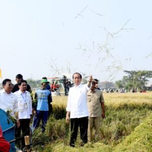 Ikuti Panen Raya di Subang, Presiden: Diharapkan Bisa Menambah Cadangan Beras Kita