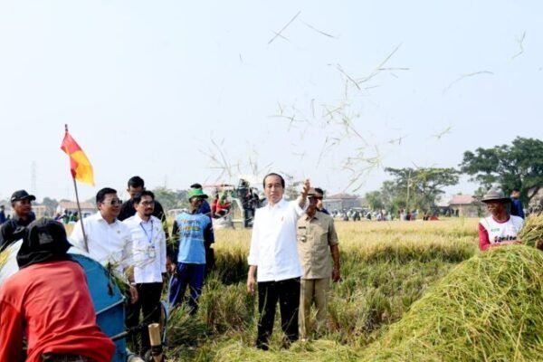 Ikuti Panen Raya Disubang, Presiden: Diharapkan Bisa Menambah Cadangan Beras Kita