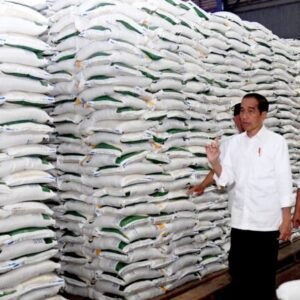 Presidenri.go.id 25102023224242 65393772a331a0.33546581 scaled e1698248591960 768x433