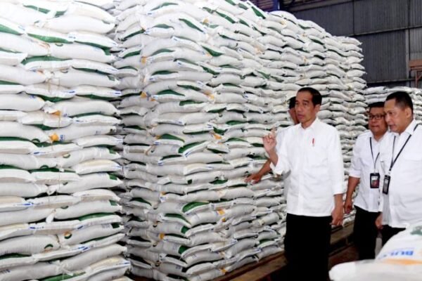 Tinjau Gudang Bulog, Presiden Jokowi: Cadangan Beras Harus Ada Meski Produksi Surplus