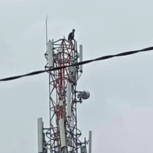 Viral! Diduga Depresi, Seorang Pemuda di Kabupaten Bandung Nekat Lompat dari Tower 40 Meter