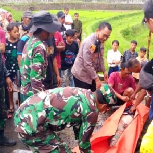 IMG 20231202 WA0021 800x360