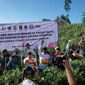 IMG 20231220 WA01341