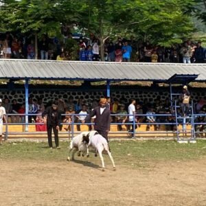 IMG 20231224 WA01541