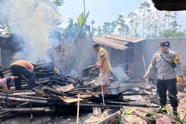 Kandang Penangkaran Burung Ludes Dilalap Sijago Merah Di Wanaraja