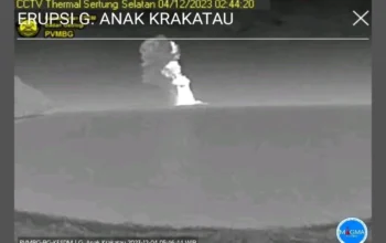 Anak Gunung Krakatau Kembali Erupsi Luncurkan Abu Vulkanik setinggi 1.000 Meter