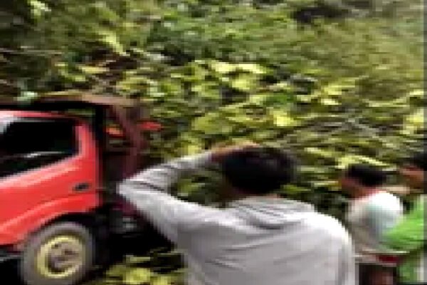 Longsor di Cadas Pangeran Menimpa Sebuah Truk Pengangkut Singkong