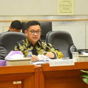 Komisi VIII Minta BNPB Percepat Evakuasi Korban dan Relokasi Masyarakat Berpotensi Terdampak Erupsi Marapi