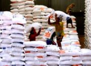 Akibat El Nino, Dirut Bulog Sebut Kenaikan Beras Terjadi Diseluruh Dunia