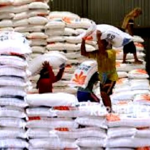 El Nino Sebabkan Harga Beras Naik di Seluruh Dunia
