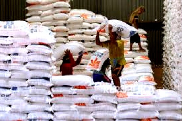 Akibat El Nino, Dirut Bulog Sebut Kenaikan Beras Terjadi Diseluruh Dunia