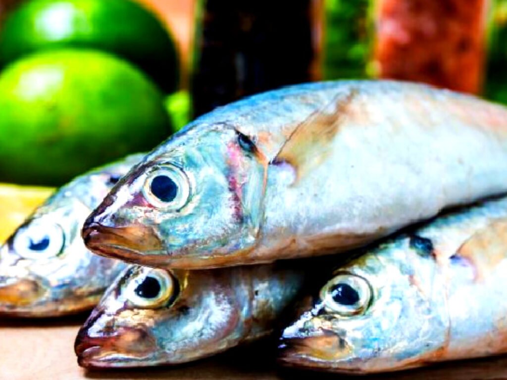 Cegah Stunting, Pemkab Karawang Sosialisasikan Gerakan Gemar makan Ikan