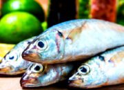 Cegah Stunting, Pemkab Karawang Sosialisasikan Gerakan Gemar makan Ikan