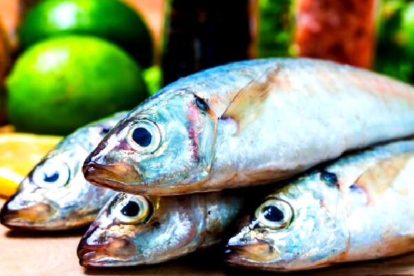 Cegah Stunting, Pemkab Karawang Sosialisasikan Gerakan Gemar makan Ikan