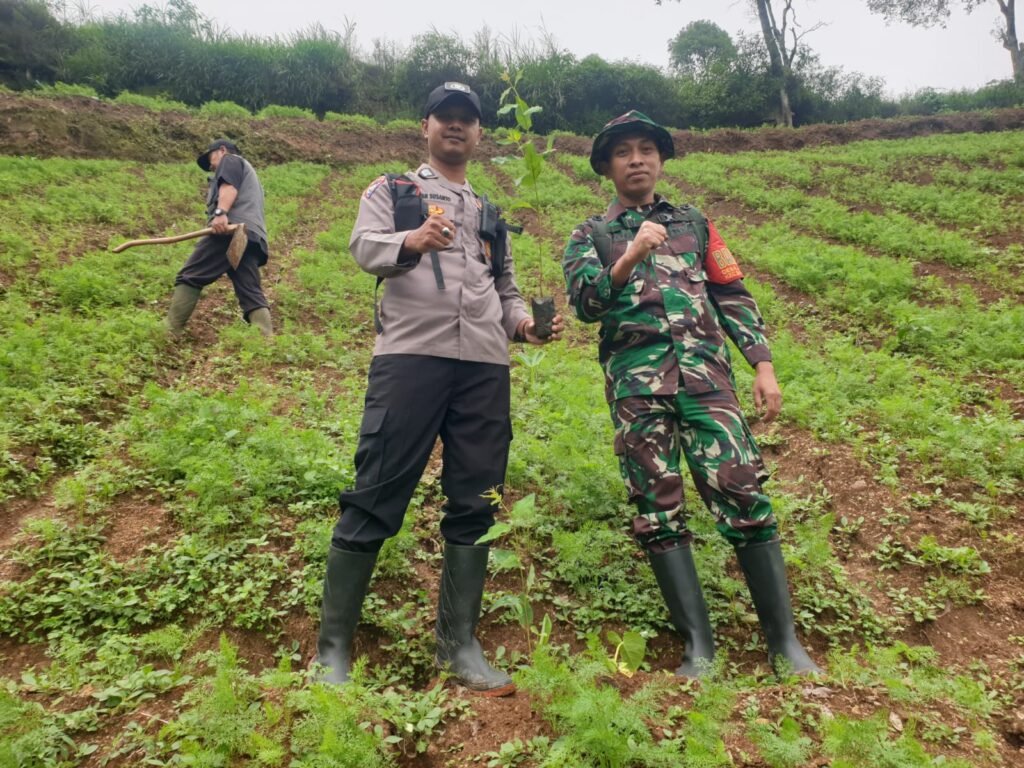 Sinergitas Polsek Banjarwangi Bersama Forkopimcam Gelar Penanaman Pohon di Gunung Lawang Angin