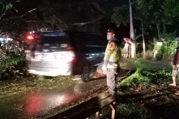 Naas! Pengendara Motor Asal Ciamis Tewas Tertimpa Pohon di Malangbong