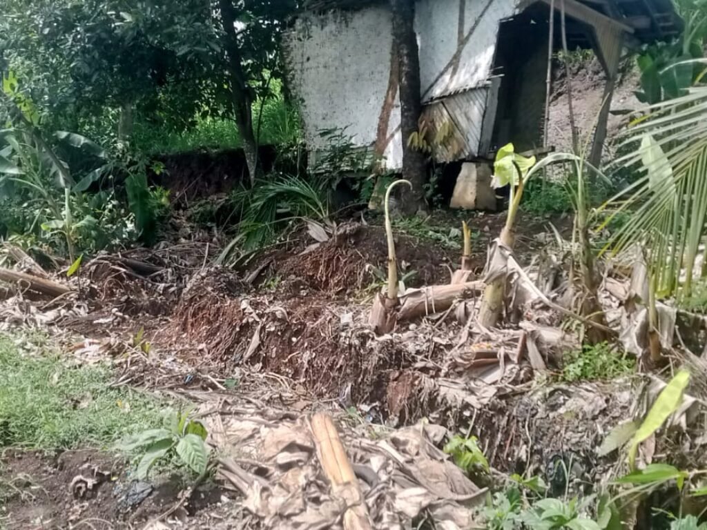 Jalan Setapak Terancam Putus Akibat Saluran Irigasi di Mandalasari Tertutup Longsor