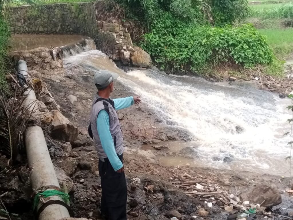 Saluran Irigasi di Cipatat Jebol, Puluhan Hektare Sawah Tak Dapat Ditanami Padi