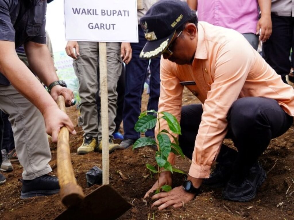 Wabup Helmi Canangkan Gerakan Penanaman Kopi Tahun 2024, Target 770 Ribu Pohon