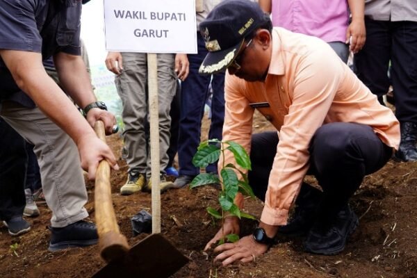 Wabup Helmi Canangkan Gerakan Penanaman Kopi Tahun 2024, Target 770 Ribu Pohon