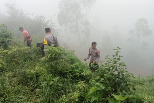 Cegah Potensi Tanah Longsor, Polsek Pamulihan Larang Aktifitas Pertanian Sayuran Di Lereng Bukit Tanpa Izin