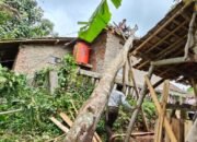 Pohon Besar Tumbang Timpa Rumah Warga di Banjarwangi