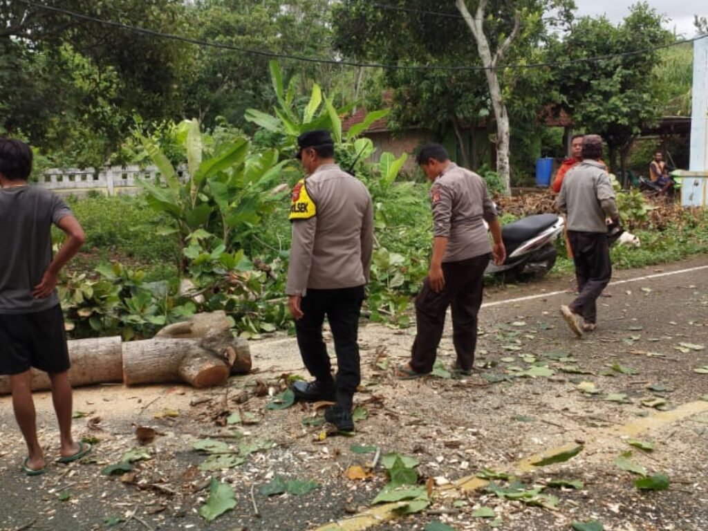 Pohon Tumbang Halangi Jalan Lintas Selatan Cigadog Garut