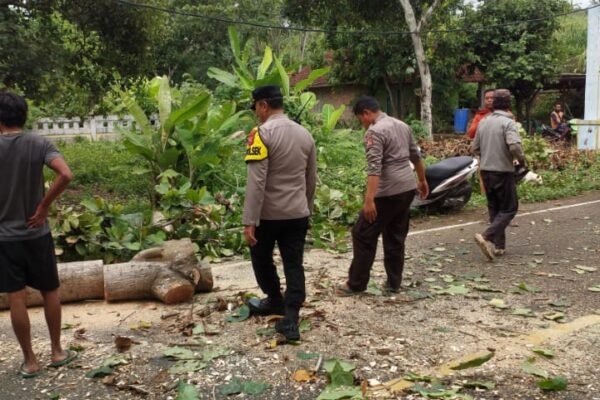 Pohon Tumbang Halangi Jalan Lintas Selatan Cigadog Garut