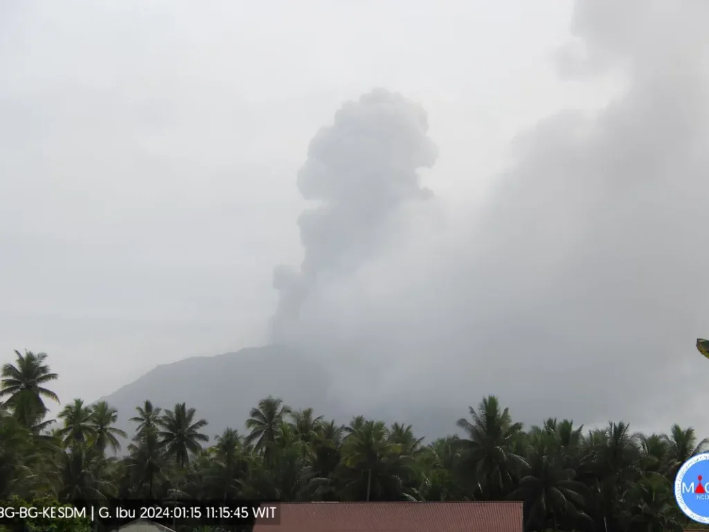Gunung Ibu di Maluku Utara Meletus Lontarkan Abu Vulkanik Setinggi 1.000 Meter
