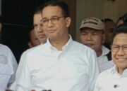 Heboh Jokowi Bertemu Surya Paloh, Anis Angkat Bicara