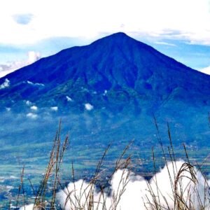 98c2252b f7f5 4988 9ea3 6f07bd87df07