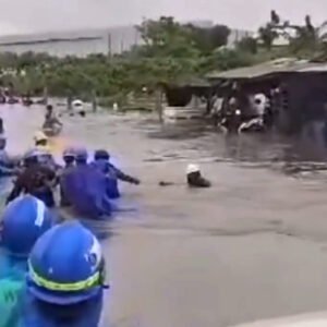 IMG 2024 02 03 19 44 32