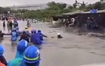 IMG 2024 02 03 19 44 32