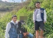 Sat Narkoba Polres Garut Ringkus Sindikat Penanam dan Pengedar Daun Ganja di Cikajang