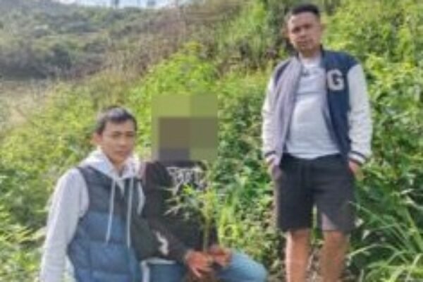Sat Narkoba Polres Garut Ringkus Sindikat Penanam dan Pengedar Daun Ganja di Cikajang