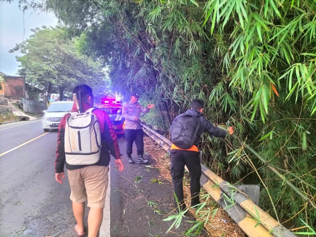 Pohon Tumbang Halangi Jalan Raya Limbangan