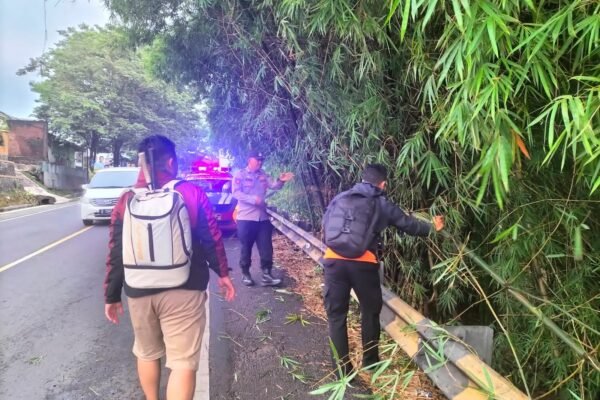 Pohon Tumbang Halangi Jalan Raya Limbangan