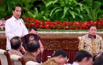 IMG2024 02 26 13 46 18