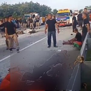 Screenshot 2024 02 05 11 25 49 518 com.whatsapp.w4b