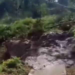 Screenshot 2024 02 05 14 32 02 219 com.simplemobiletools.gallery.pro