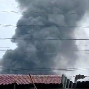 Screenshot 2024 02 29 14 15 55 915 com.simplemobiletools.gallery.pro